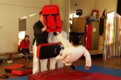 kicking pads 2