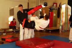 kicking pads